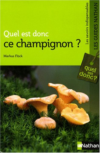  - champignon